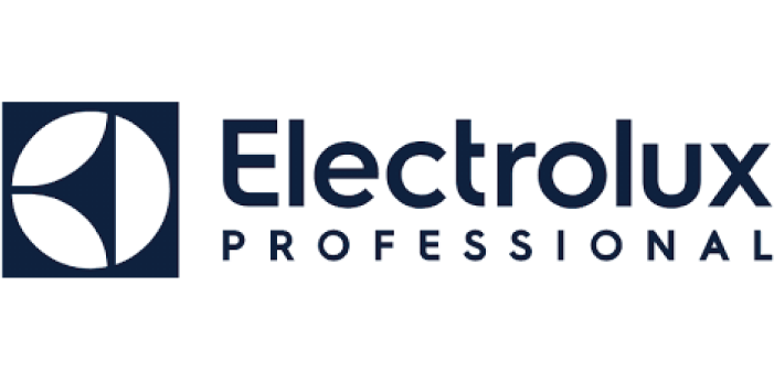 elctrolux professional